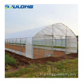 Green Green House en poly